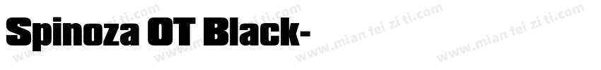 Spinoza OT Black字体转换